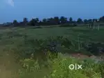 Gopalpur road plots