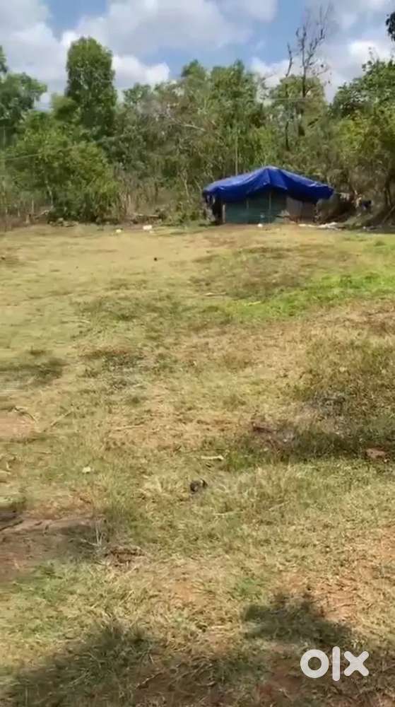 18 Cent House Plot For Sale @ Attappadi..  3 Lakh / Cent