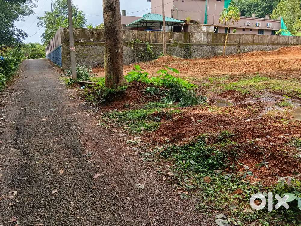 Puthencuriz NH 100 meter near 7cent house plot for sale