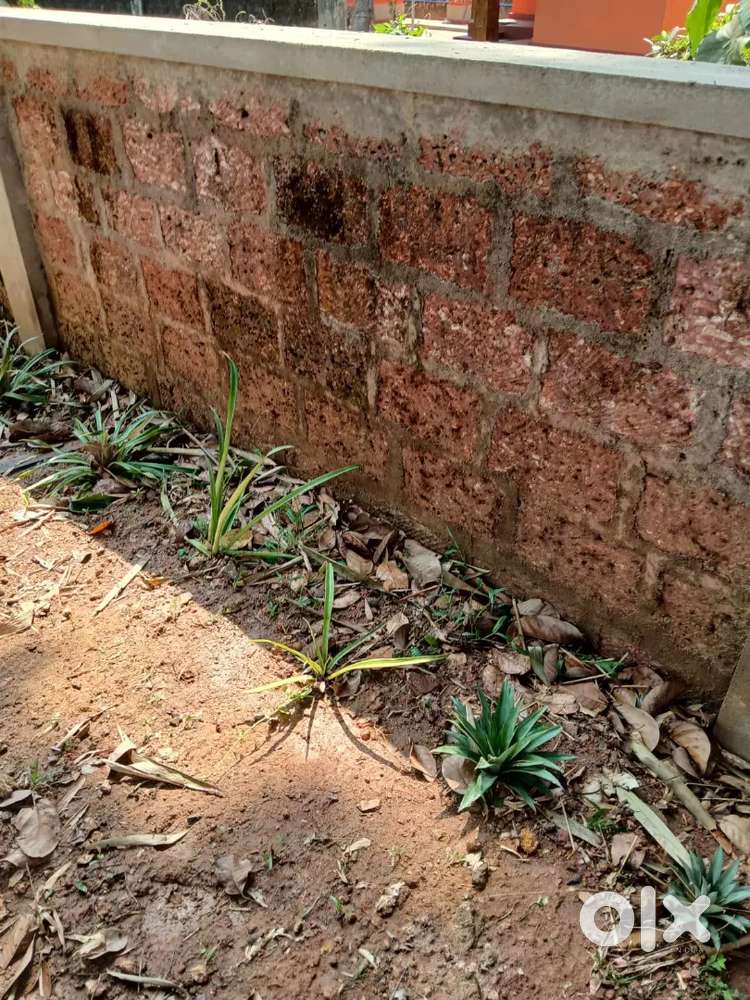 3.25 cents land for sale at bejai kapikad near main road