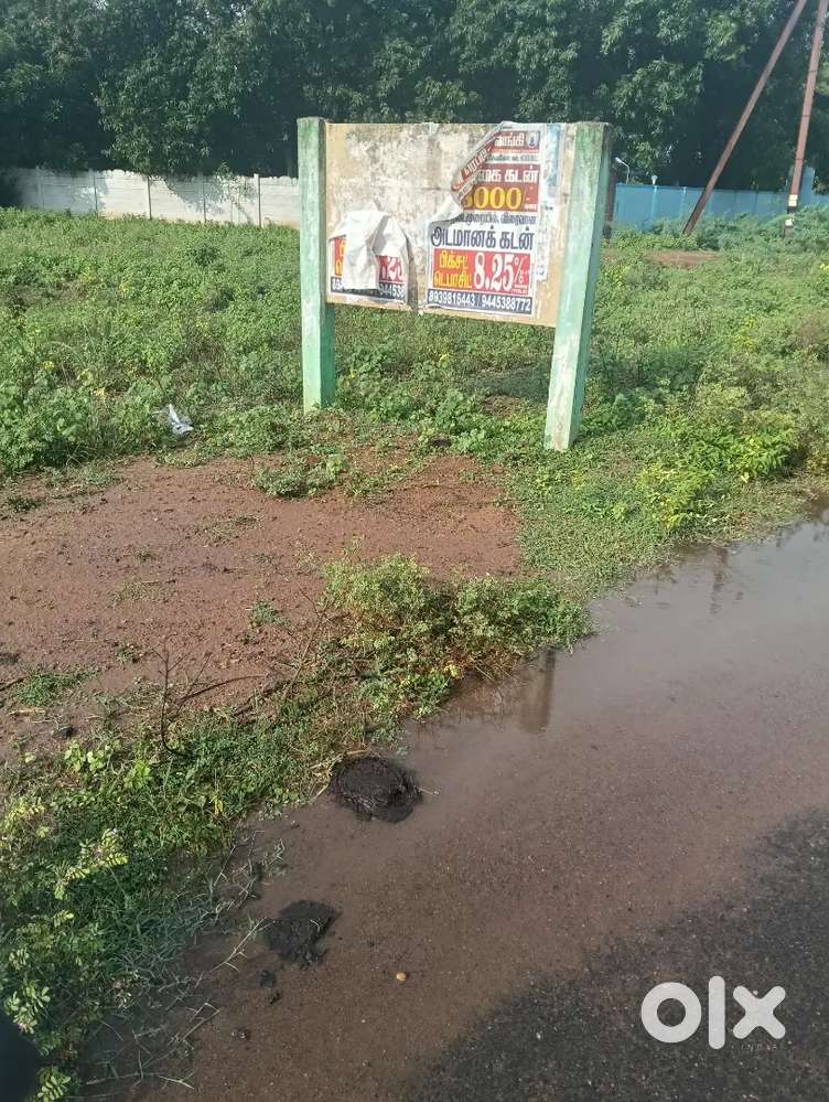 Louis Nagar sarugani. Sarugani Road to Devakottai Road