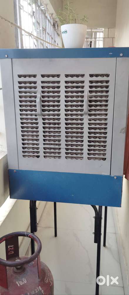 Speed switch and motor switch