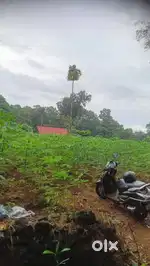 PLOTS FOR SALE NEAR PALA