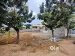 220 Sq Yards North Facing Residential Plots @ Rampalli