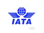 Ticketing staff ( IATA)