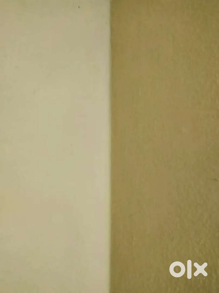 Only for Bachelor's –  2 Room for Rent – With bed and fan