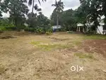 RESIDENTIAL PLOT KAKKANAD PUTHENCRUZ 19 CENT