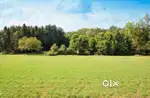 R3 plot for sale