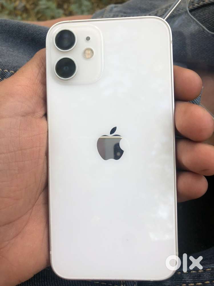 12 mini .Battery service pertruetone on face id working