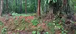 Residential land for sale at Thrikkannapuram