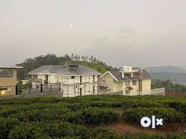 15.5 Cents Ooty Land For Sale _62 L At Kenthorai Ooty