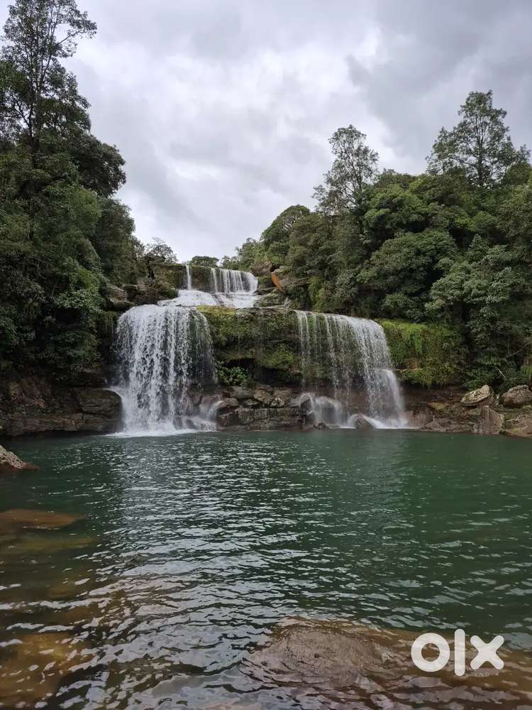 Job as manager cum waiter in a hostel