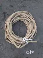 Pipe Balaji Gold