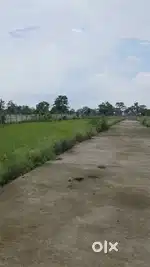 30×58- 1583 Sqft plot / Cc Road/ Boundary wall/ Nagar Nigam Area