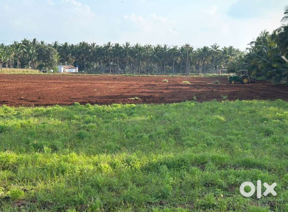 110 cent agriculture land total 37 lakh