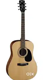 Cort guitar