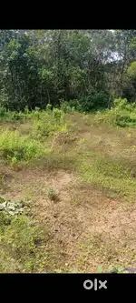 Land for sale 89 cents near manimala(kothalapady)