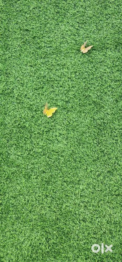 ANCHOR/BRAND PRESENTER