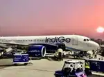 We are hiring for Indigo airline ground staff vacancy