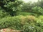 Salempur patrol pamp kai pas