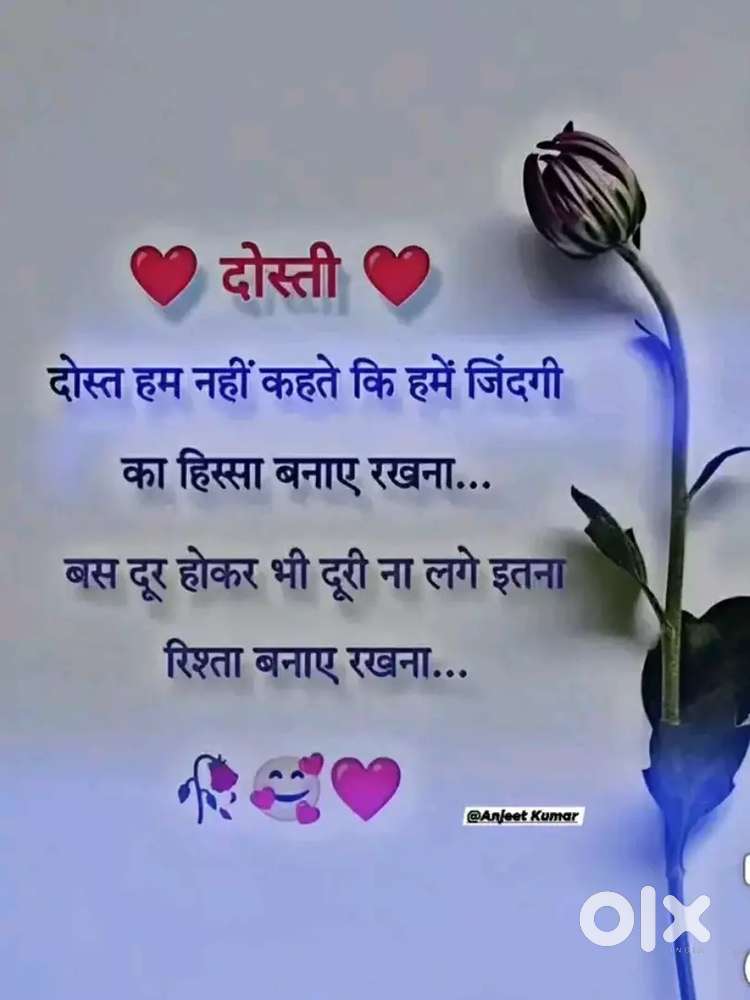 Hi I m all rounders cook