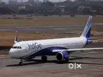Required for Male and female candidates for indigo Airlines jobs