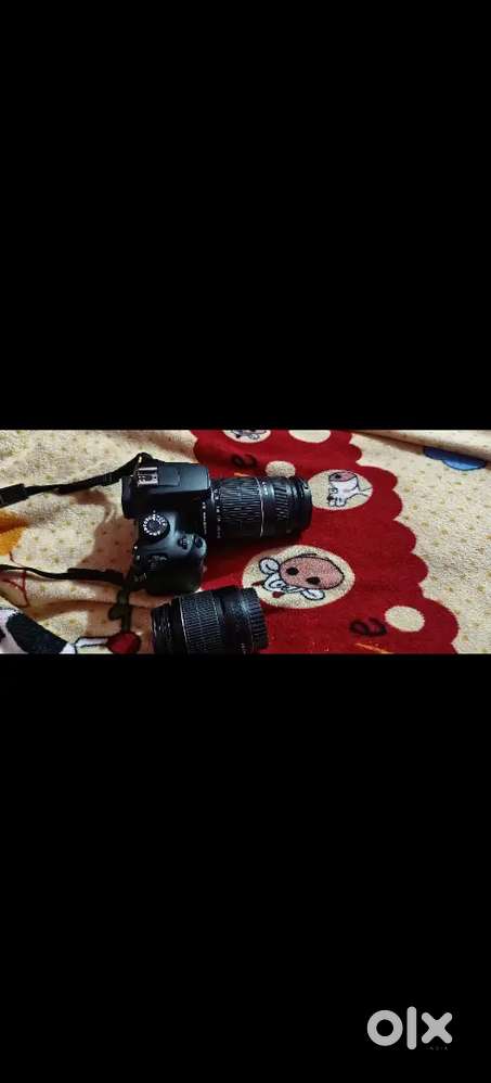Cemara 3000d