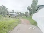 House plot 20 cents near Kumaranalloor-Kudamaloor road 3.5 lakh/cent