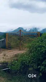 77 Gunta Land for Sale – Near Chikkamagaluru City