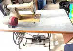 Kuttu mination
