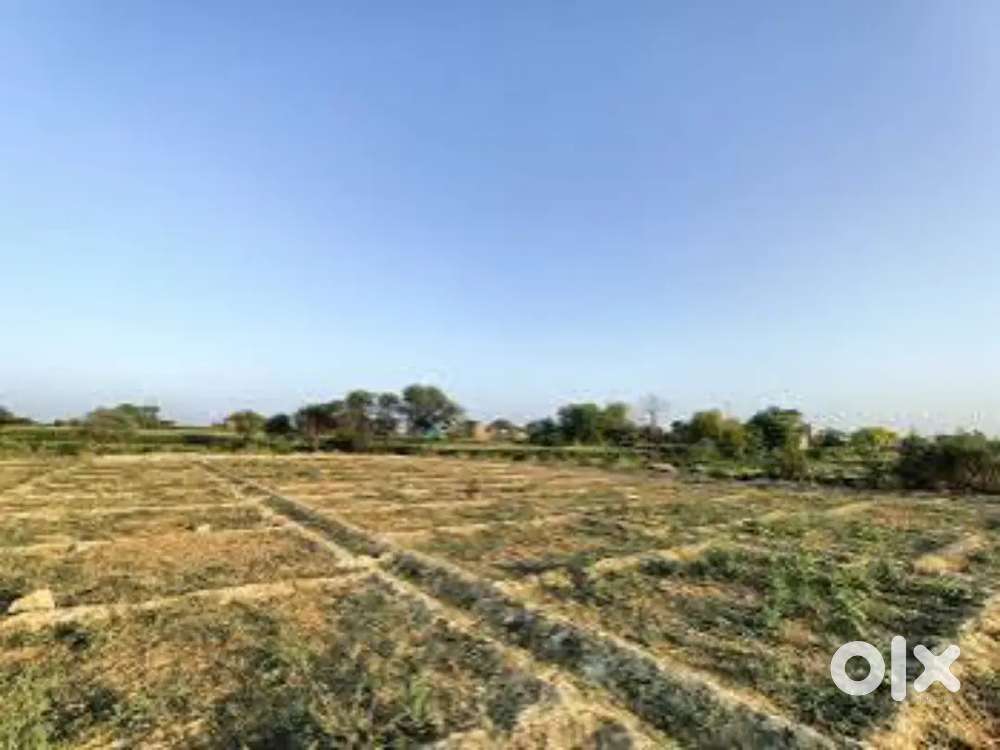 Plot land Agricultural land for sale...