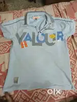 Nice branded t shirt for men