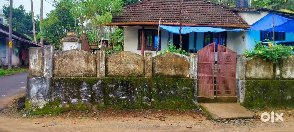 House and plot for sale