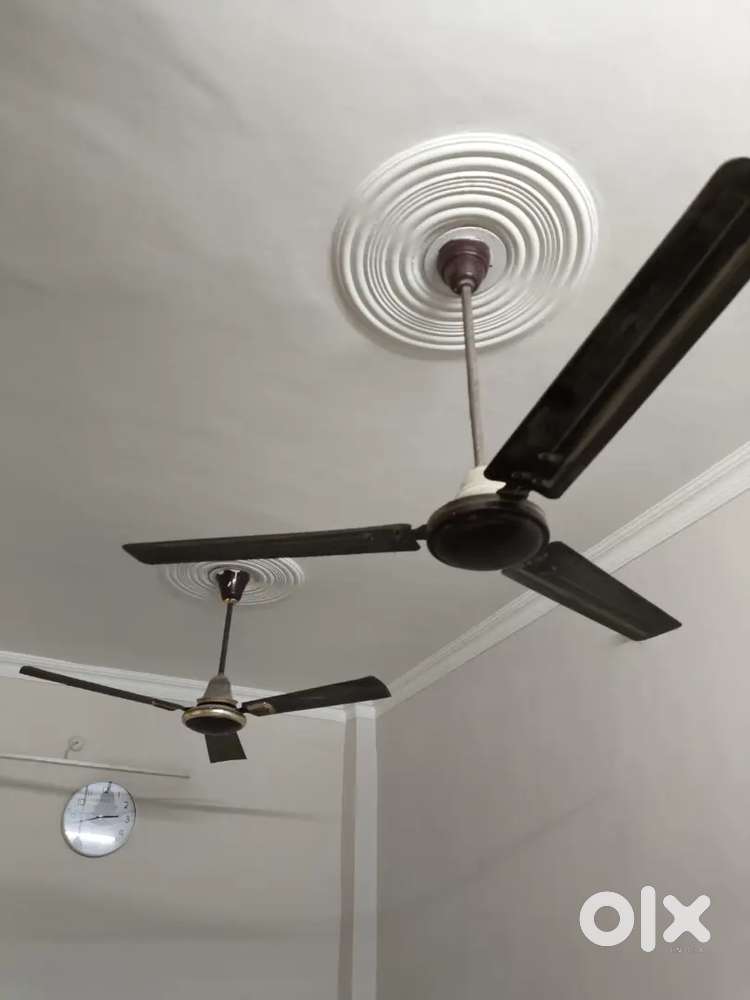 Ceiling fans