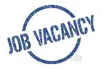 Sales Executive