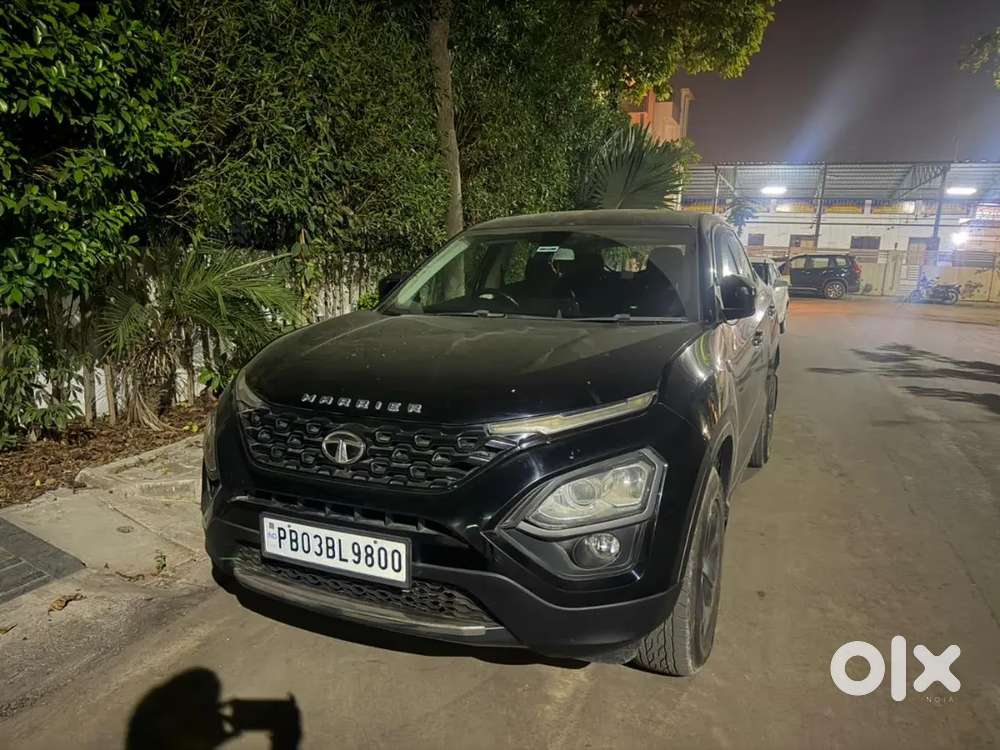 Harrier in great condition