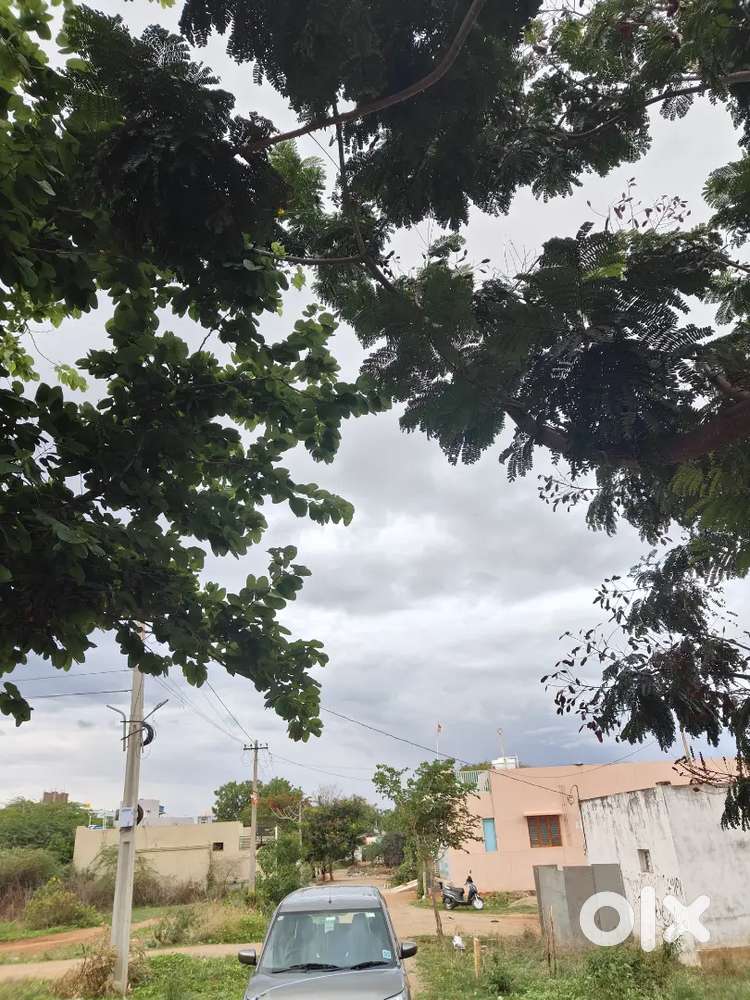 Plot for immediate construction