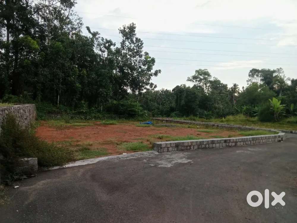 Puthupally 7 cent house plot.3 .lakh.cent.