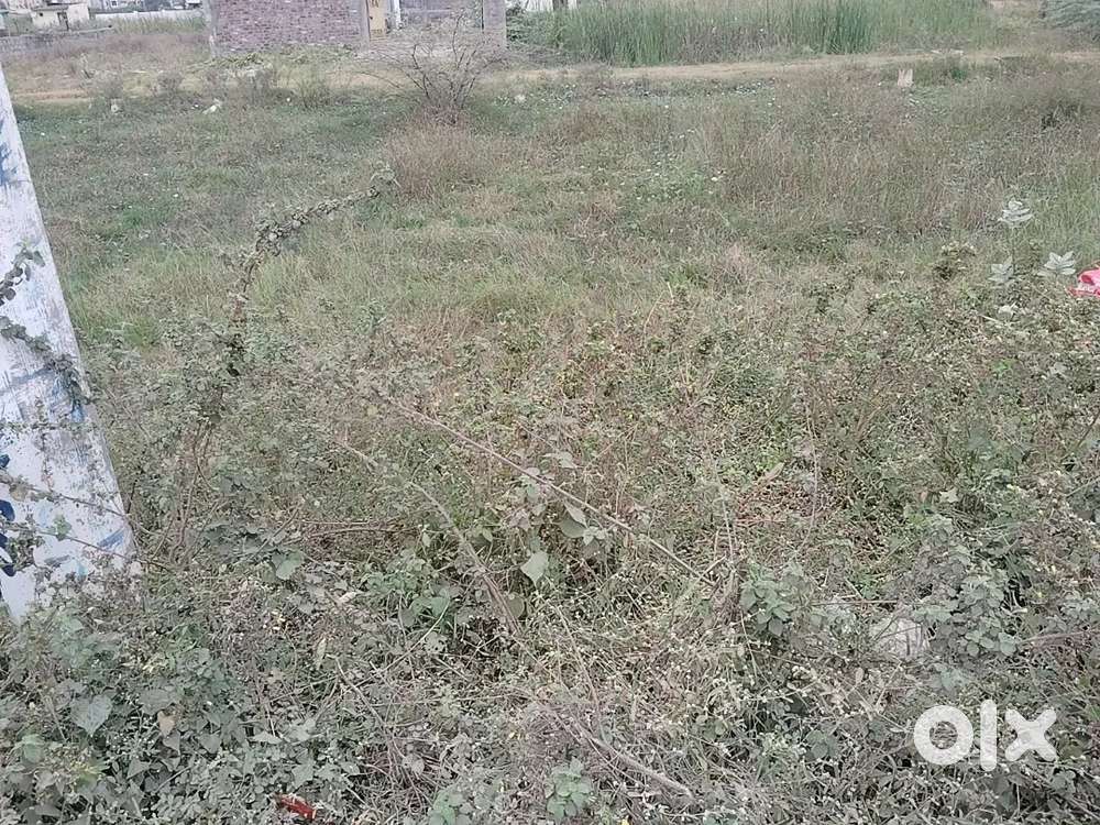 Land for sale
