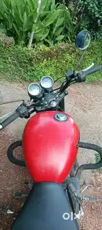 Thunder bird for sale