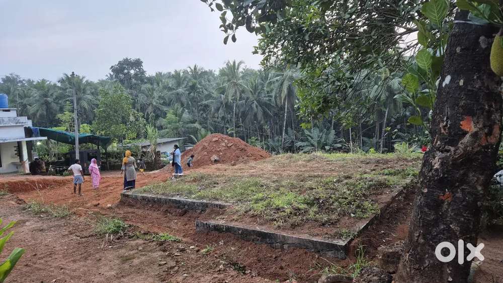 8.30cent plot 3.10 Lk/Cent