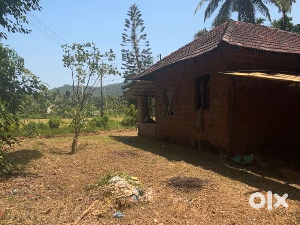 87 cents land for sale… 1 lakh per cents