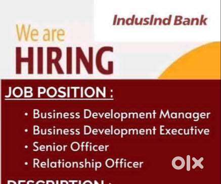 Business development manager - Angamaly Indusind Bank
