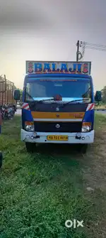 Partner 14 feet