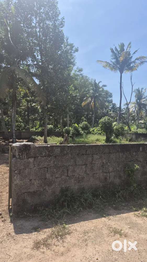 Close to Airport chackai