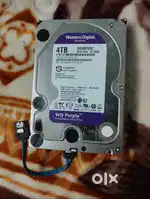 Western digital (WD)