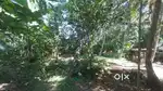 Prime Land for Sale – 28 Cents in Payattuvila