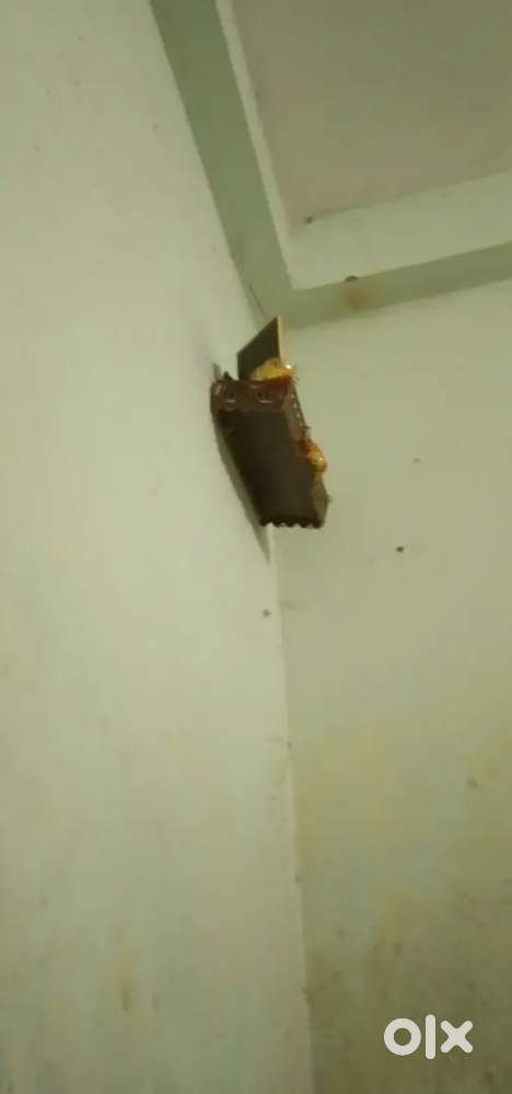 Urgent Roommates required for Nayapalli