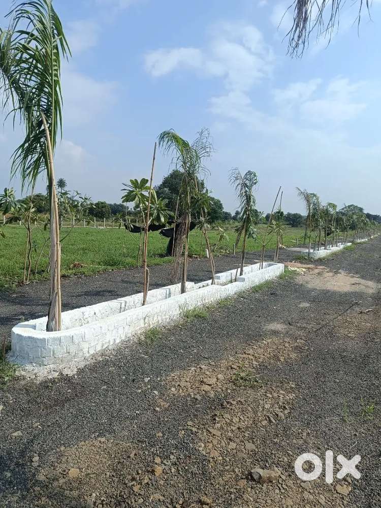 Tejaji nagar indore