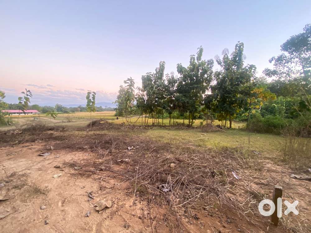 Plot with paddy field for urgent sale